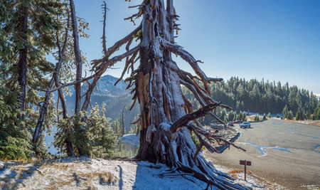 First snow of the season at Crater Lake National Park, Oregon, USAの写真素材