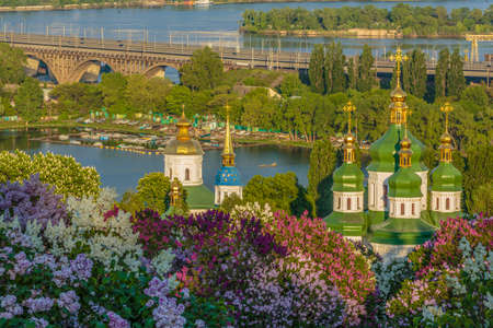 Blooming lilacs in the botanical garden, Kiev, Ukraineの写真素材
