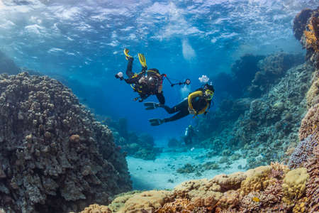 Underwater exploration. Divers dive on a tropical reef with a blue background and beautiful corals.の写真素材