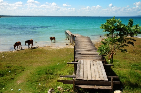 Pier on a Blue Lake with Horses in Guatemalaの写真素材