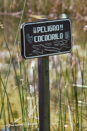 Danger Crocodile Sign near a Pound in Guatemalaの写真素材