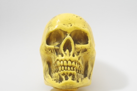 An Ancient Yellow Skull  on a White Backgroundの写真素材
