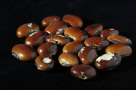 Colored Round Seeds