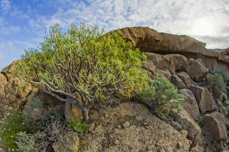 Sand and Rocks Desert Ladscape at Sunsetの写真素材