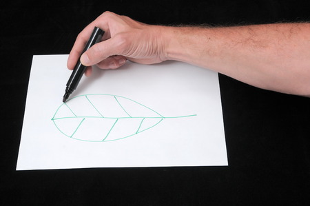 Caucasian Male Hand Drawing on a White Paperの写真素材