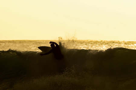 Backlight Silhouette Surfer in the Ocean at Sunset