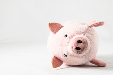 The pink pig cloth figurine on a white backgroundの写真素材