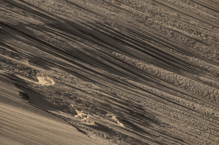 Texture Sand Dune Desert in Gran Canaria Island Spain