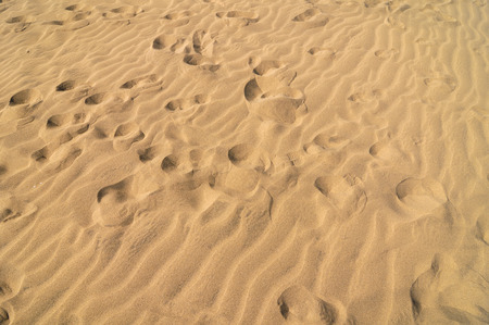 Texture Sand Dune Desert in Gran Canaria Island Spainの写真素材