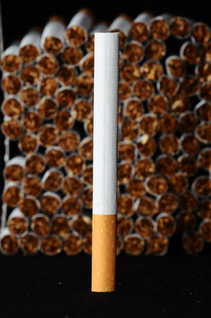 Close-up of Tobacco Cigarettes Background or texture