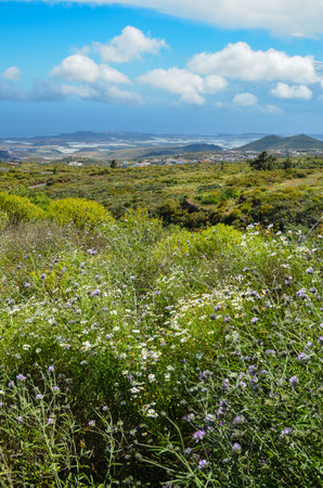 Spring Landscape in Tenerife Canary Island Spainの写真素材