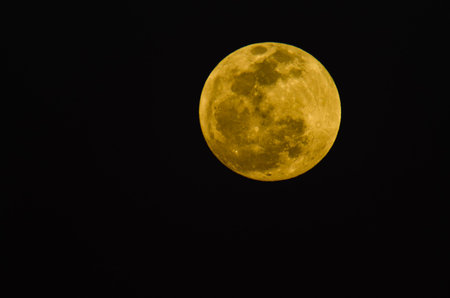 Moon Closeup Showing the Details of Lunar Surface 