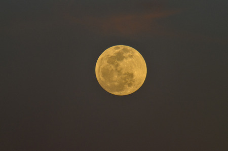 Moon Closeup Showing the Details of Lunar Surface の写真素材