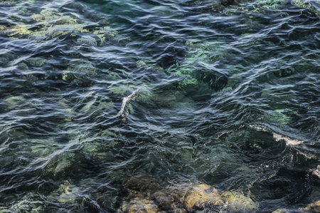 011bab5c-42ee-40f1-829a-aeeb8fffb100のeditorial素材