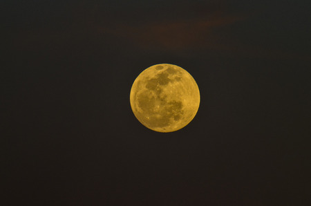 Moon Closeup Showing the Details of Lunar Surface の写真素材