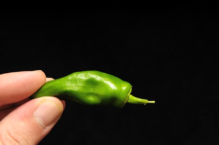 Some Very Hot Chili Peppers Ready to Cookの写真素材