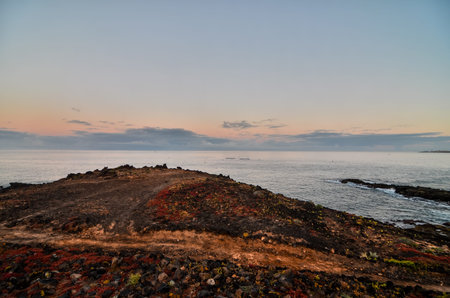 Cloudscape, Colored Clouds at Sunrise in Tenerife Canry Islands Spain