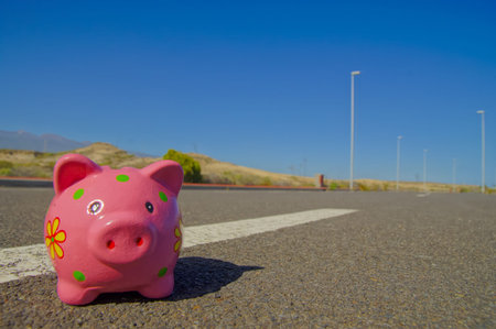 Pink Piggy Bank on the Asphalt Streetの写真素材
