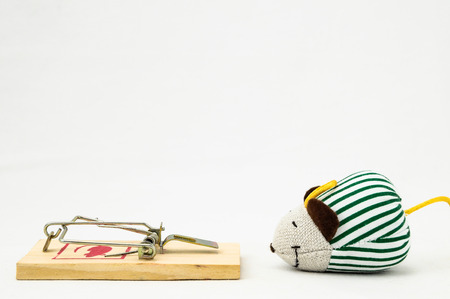 Wooden Mouse Trap on a White Backgroundの写真素材