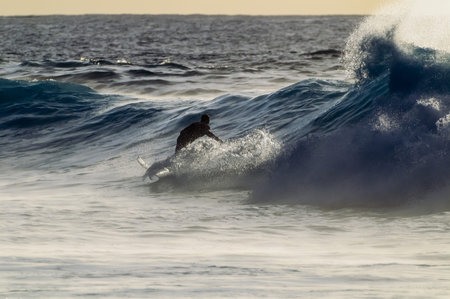 Backlight Silhouette Surfer in the Ocean at Sunset