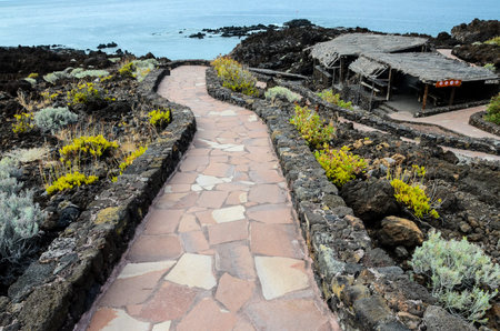 Pavement Path Laid Concrete Pavement Blocks with Stone Chip Topping