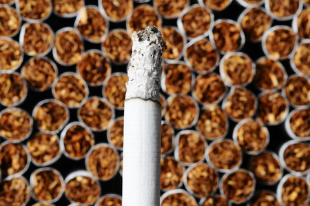 Close-up of Tobacco Cigarettes Background or textureの写真素材