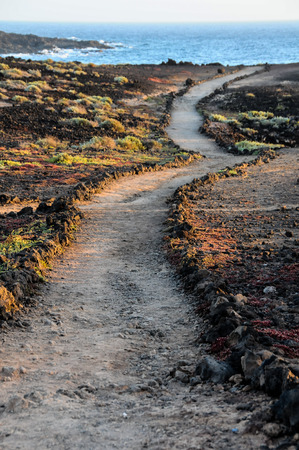 Travel Concept Background - Pathway in the Volcanic Desert Tenerife Canaty Islands Spainの写真素材