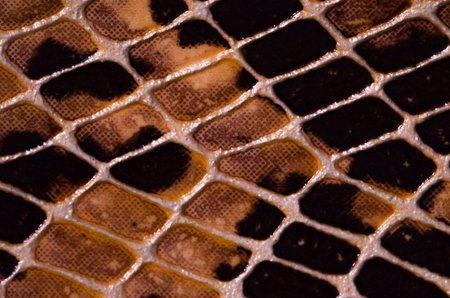 Artificial Reptil Snake Skin Seamless Pattern Texture