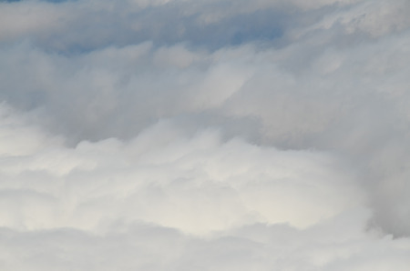 High Clouds over Pine Cone Trees Forest in Tenerife Islandの写真素材