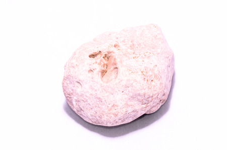 Old Ancient Fossil Rock Stone on a White Backgroundの写真素材
