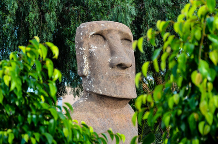 Moai standing from Easter Island , Chile South Americaの写真素材