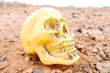 Abandoned Human Skull in the Rock Desertの写真素材
