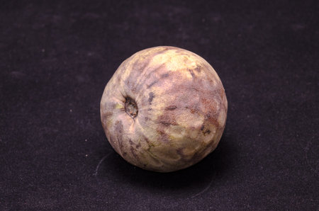 Fresh Green and Brown Ripe Cherimoya Tropical Fruit