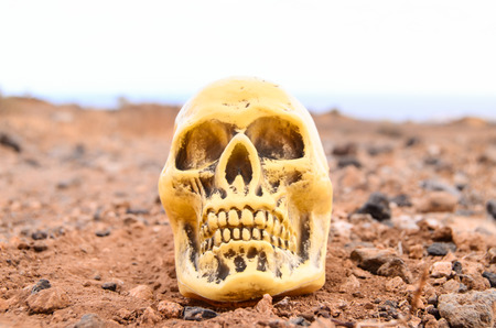 Abandoned Human Skull in the Rock Desertの写真素材