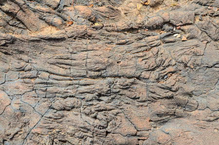 Volcanic Dry Brown Lava Texture Background