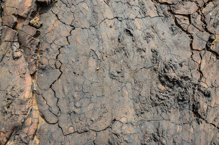 Volcanic Dry Brown Lava Texture Background in Canary Island