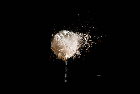 Broken Incandescent Light Bulb on a Black Background