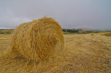 Hay Bale In The Foreground Of Rural Field