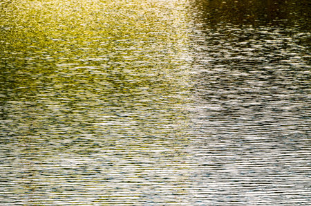 Green Water Pattern Texture Background with Ripples