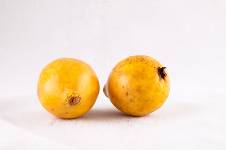 Fresh Yellow Ripe Maracuya Tropical Passion Fruitの写真素材