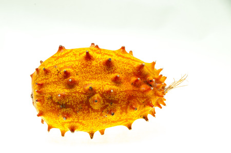 Kiwano Cucumis Metuliferus Exotic Vegetable Tropical Orange Fruitの写真素材