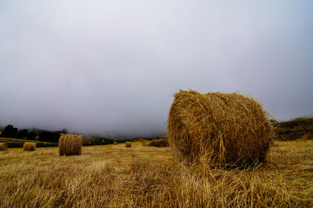 Hay Bale In The Foreground Of Rural Fieldの写真素材
