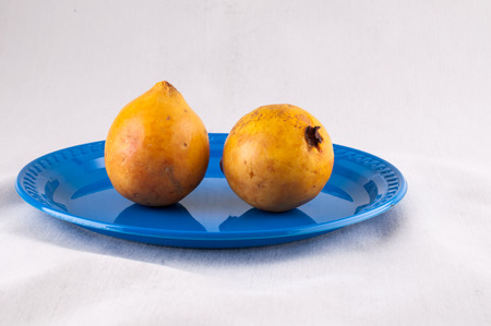 Fresh Yellow Ripe Maracuya Tropical Passion Fruitの写真素材