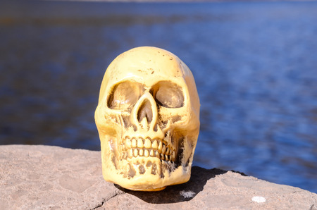 Abandoned Human Skull on the Volcanic Rockの写真素材