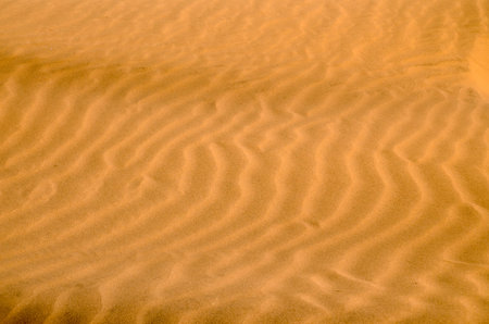 Sand Dune Desert in Maspalomas Gran Canaria Island Spain