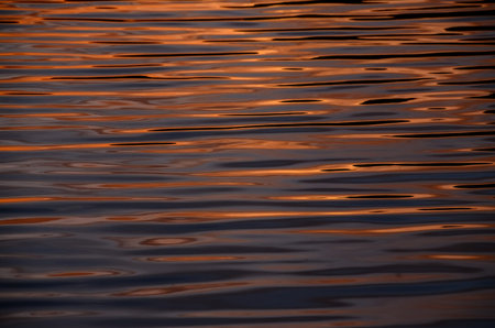 Water Texture Pattern at Sunset on the Atlantic Oceanの写真素材
