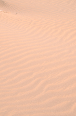 Texture Sand Dune Desert in Gran Canaria Island Spainの写真素材