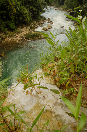Landscape in Semuc Champey, Lanquin, Guatemala, Central Americaの写真素材