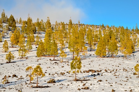 Winter Landscape on the High Mountain Rangeの写真素材