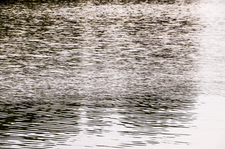 Green Water Pattern Texture Background with Ripples